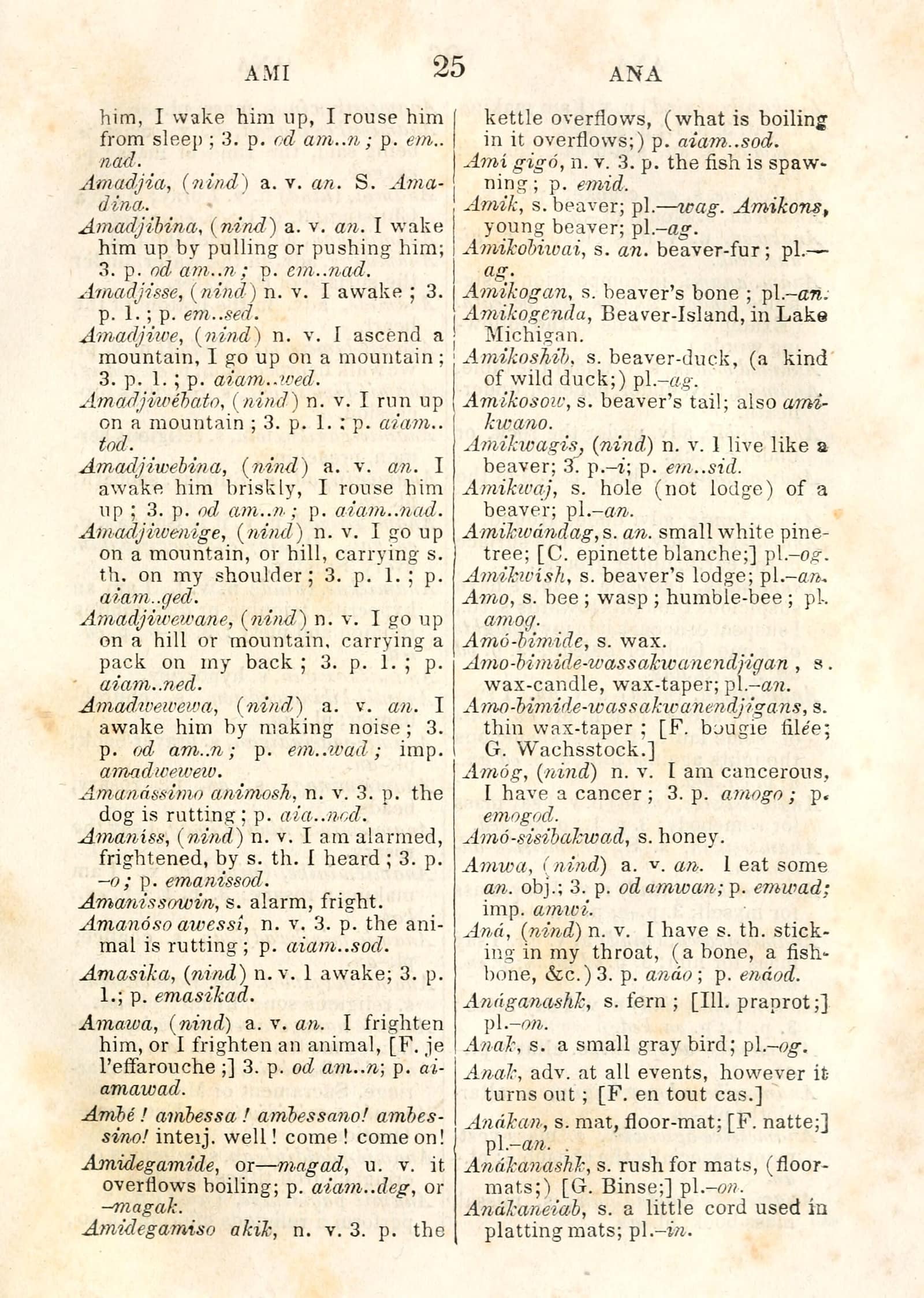 Scanned page 25 of Baraga's 1853 Otchipwe dictionary, with the printed entry Amikogenda, Beaver-Island, in Lake Michigan