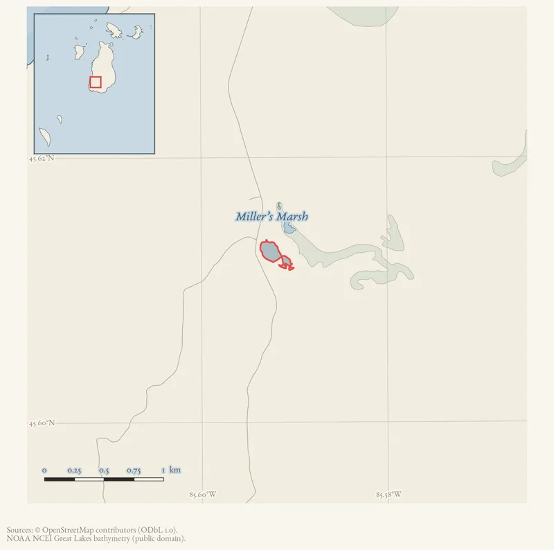 Locator map: Miller’s Marsh highlighted within the Beaver Island archipelago