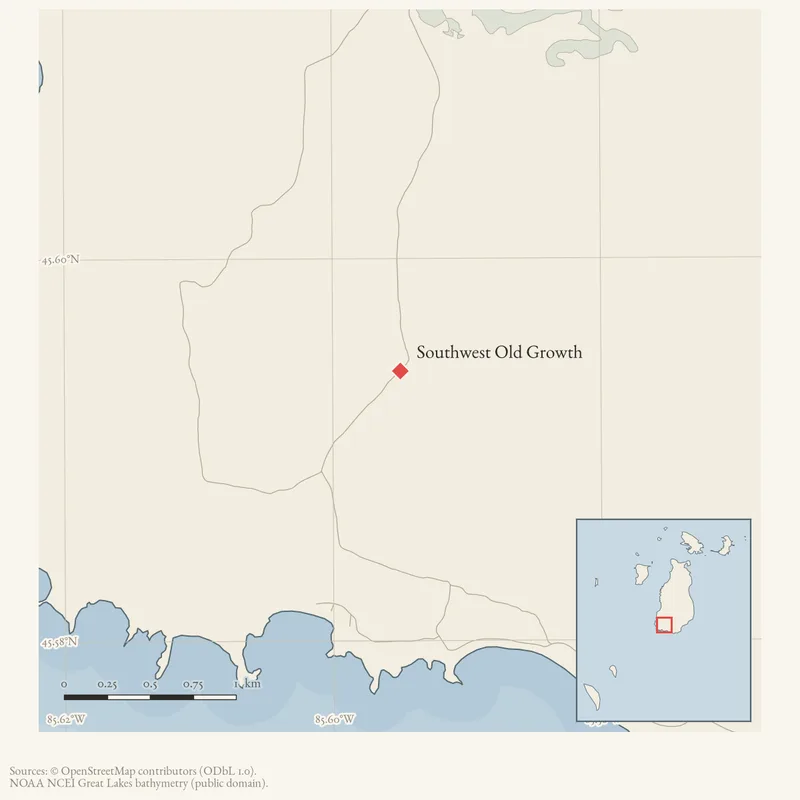 Locator map: Southwest Old Growth highlighted within the Beaver Island archipelago