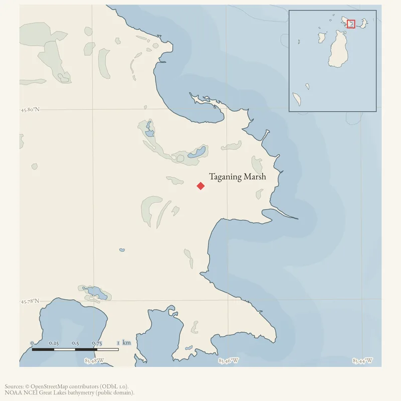 Locator map: Taganing Marsh highlighted within the Beaver Island archipelago