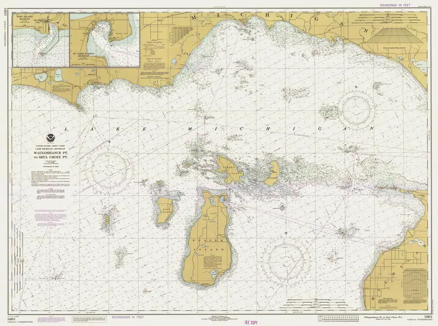 Historical chart: Waugoshance Pt To Seul Choix Pt, held by NOAA Office of Coast Survey, 1982.