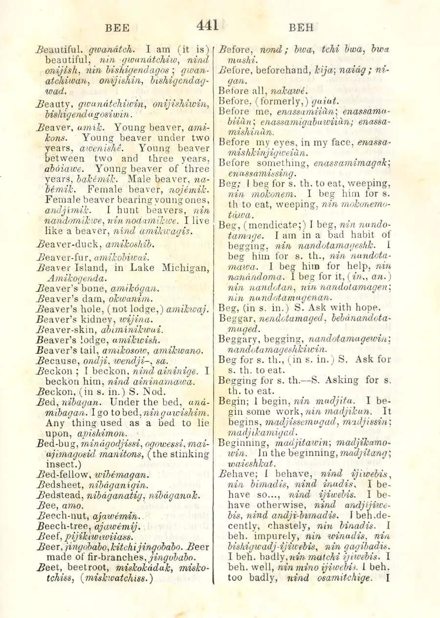 Scanned dictionary page with two columns of printed English and Otchipwe entries about beavers and related terms.