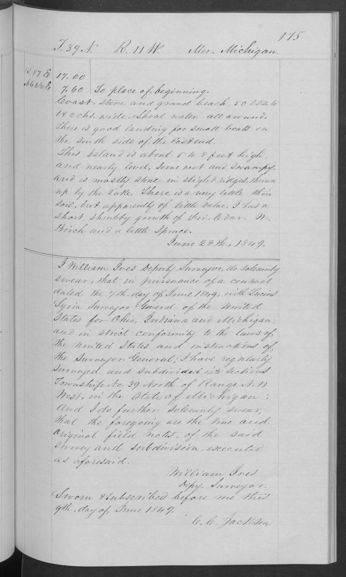 Scanned page: field note volume 168138 page 0175 trout island general description, held by Bureau of Land Management, General Land Office Records.