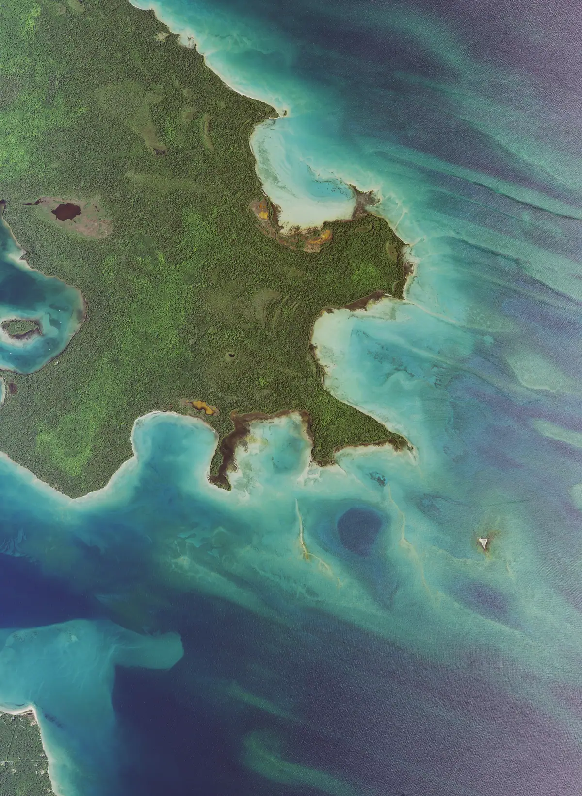 NAIP aerial tile at the south-eastern of Garden Island, 2020
