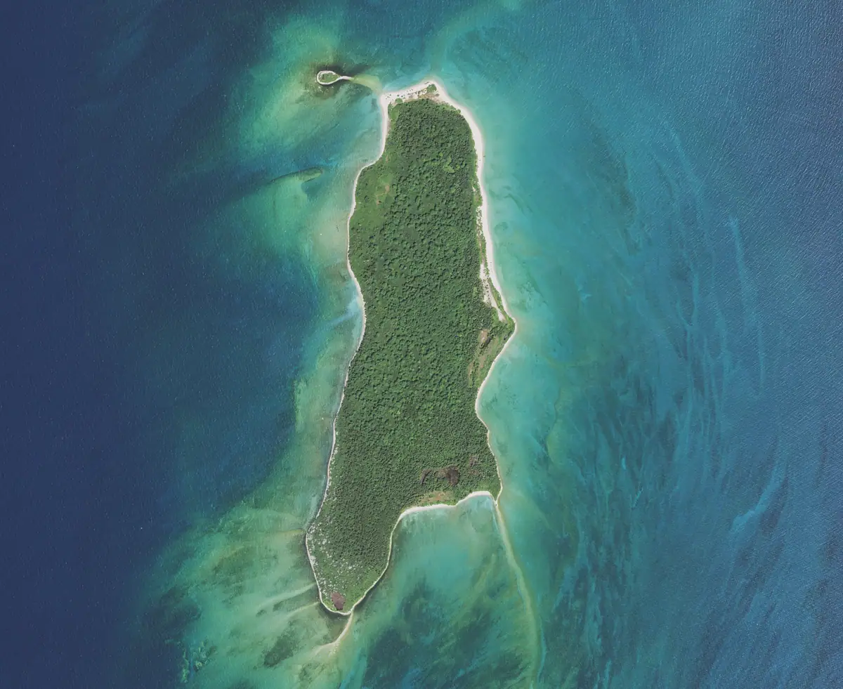 Gull Island from the air, 2020 (detail)