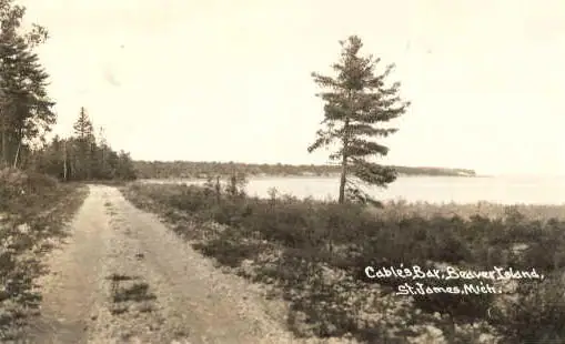 Sepia photograph of a dirt road leading toward a shoreline, with a tall pine tree and a caption in the foreground.