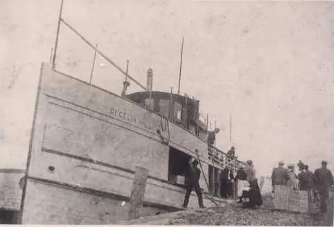 A large passenger vessel is moored beside a pier, with people gathered on the deck and shoreline.