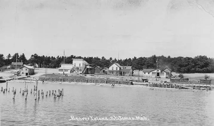 Black-and-white waterfront view with wooden pilings, a dock, houses, and trees along the shore.