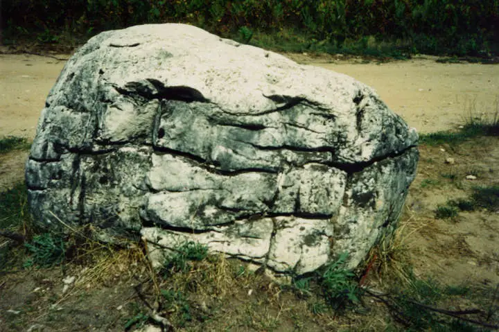 A large pale boulder with deep horizontal and vertical cracks rests on sandy ground beside grasses and dense vegetation.
