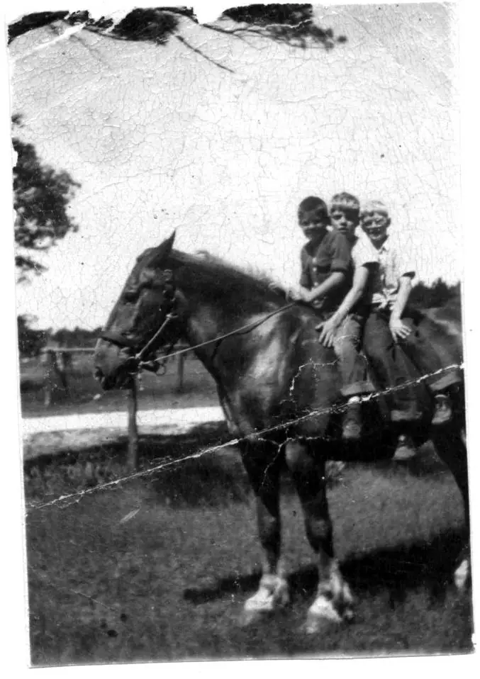 Three boys sit together on a bridled horse in a grassy outdoor setting.