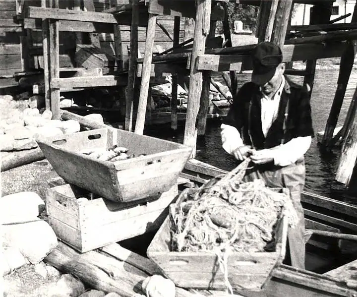A man sorts a tangled net or catch beside wooden containers on a waterfront structure.