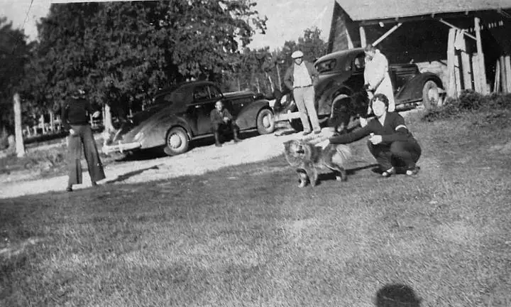Five people and a dog gather beside vintage cars and an open-sided wooden outbuilding.