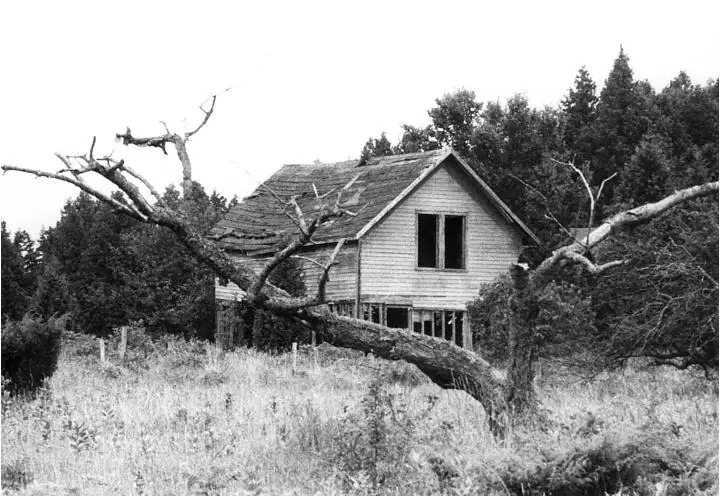A weathered wooden house stands among trees and tall grass, partly obscured by a large dead tree.