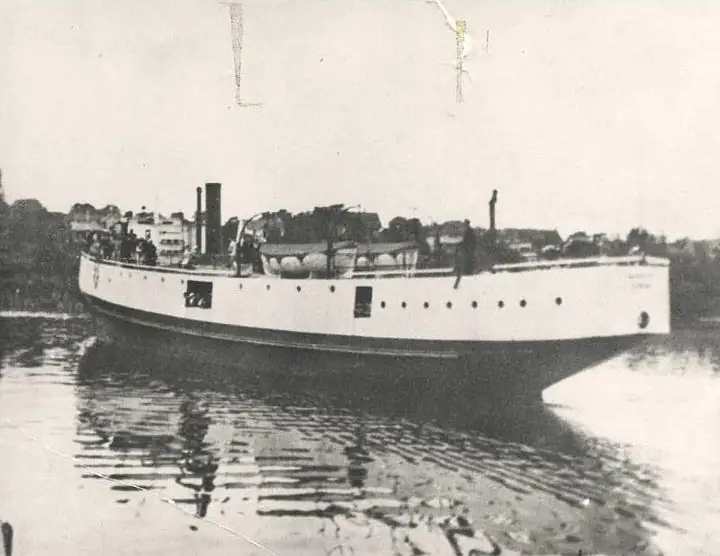 A large white passenger vessel moves through the water near a tree-lined shore.