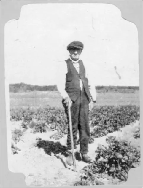 Black-and-white photograph of a man standing among cultivated rows and holding a long-handled agricultural tool.