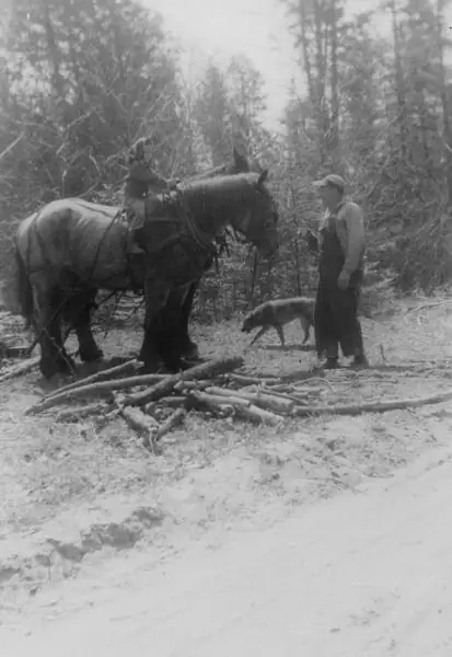 A mounted rider, a standing man, and a dog beside a horse and cut logs in a wooded clearing.