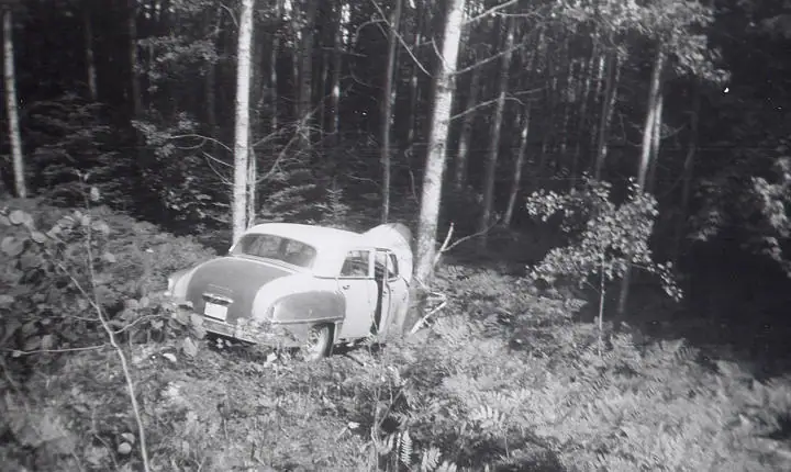 A vintage automobile sits among ferns and slender trees in a black-and-white forest photograph.