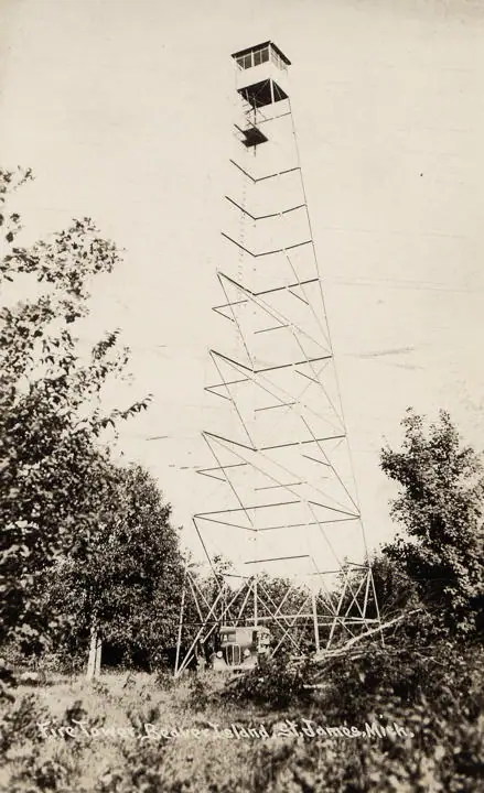 Tall metal fire tower with an enclosed lookout cabin rises above trees and brush in a monochrome photograph.