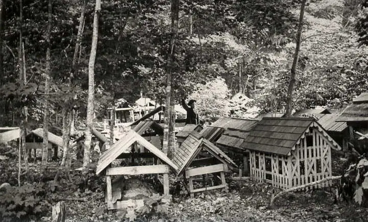 Black-and-white photograph of small wooden shelters among trees, with one person standing beside them.