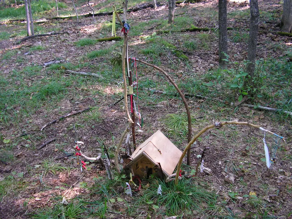 Small decorated wooden shelter among trees and leaf litter.