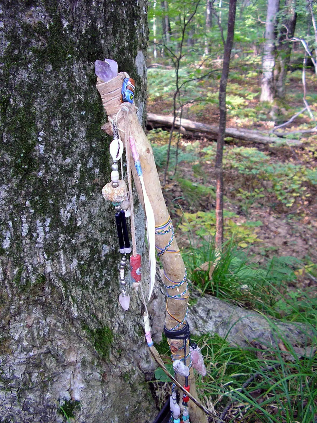 A decorated wooden staff with beads, feathers, shells, and crystals rests against a moss-covered tree in a forest.