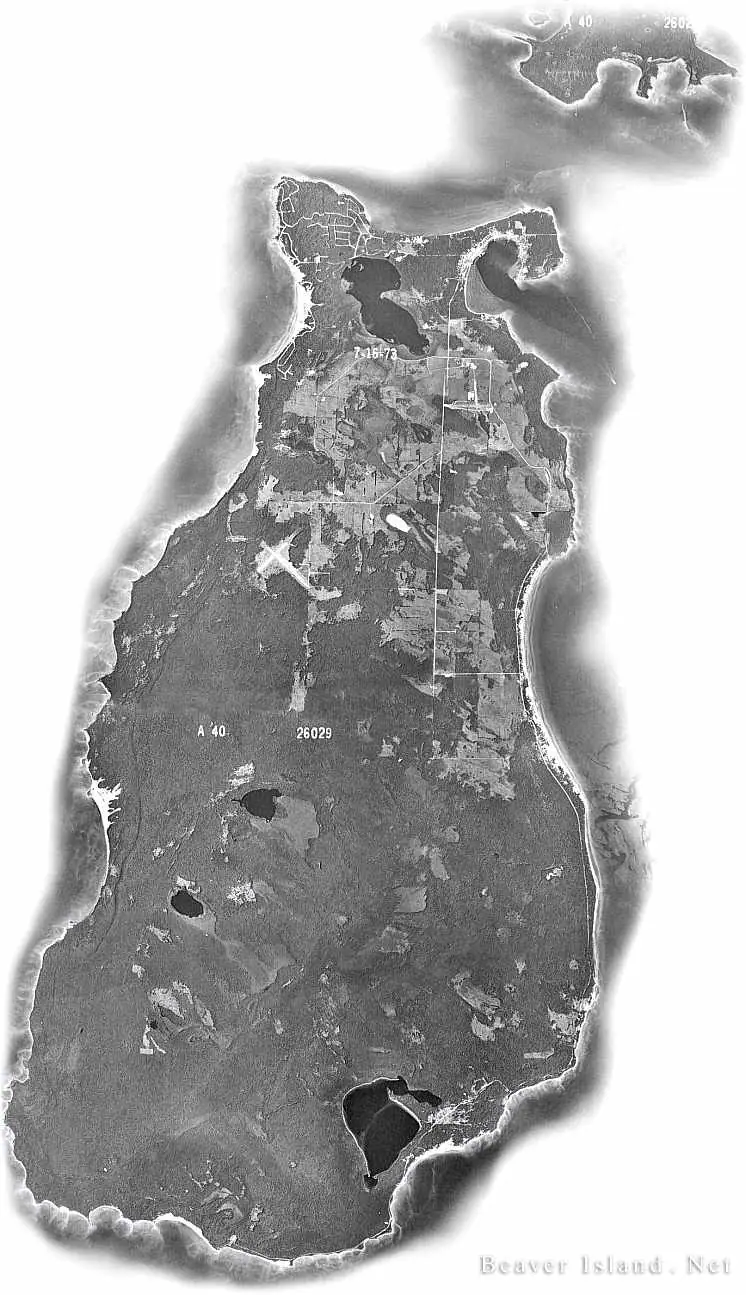 Black-and-white aerial photograph showing a long wooded landform, shoreline, fields, and a rectangular survey grid.