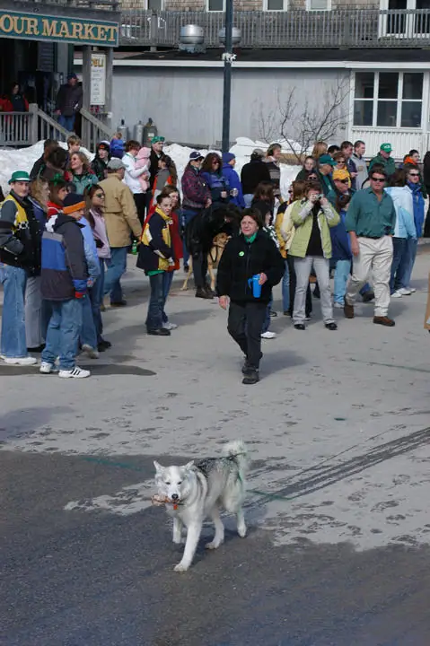 A crowd in winter clothing gathers outside a storefront as a white dog walks across the foreground.