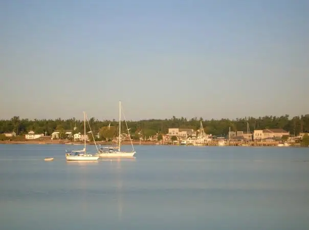 Two white sailboats anchored in calm water with shoreline buildings and trees behind them.