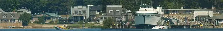 A large white passenger ferry is docked along a waterfront lined with buildings and wooded hills.