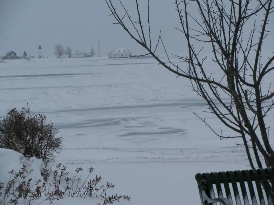 Snow-covered frozen water and distant buildings are seen through bare branches, with a bench in the foreground.