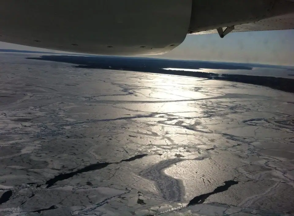 Aerial photograph of sunlit, cracked ice with dark wooded landforms on the horizon.