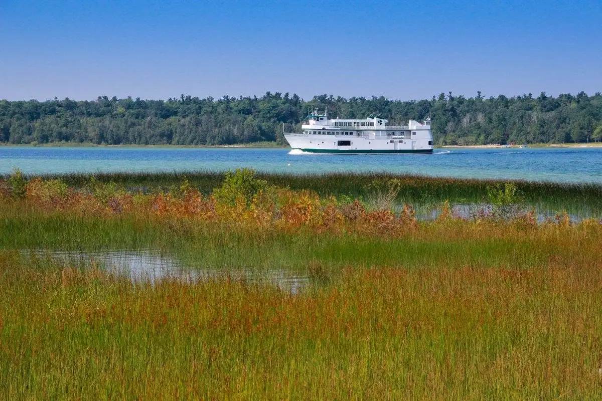 A white passenger ferry crosses blue water beyond a marsh, with a wooded shoreline behind it.
