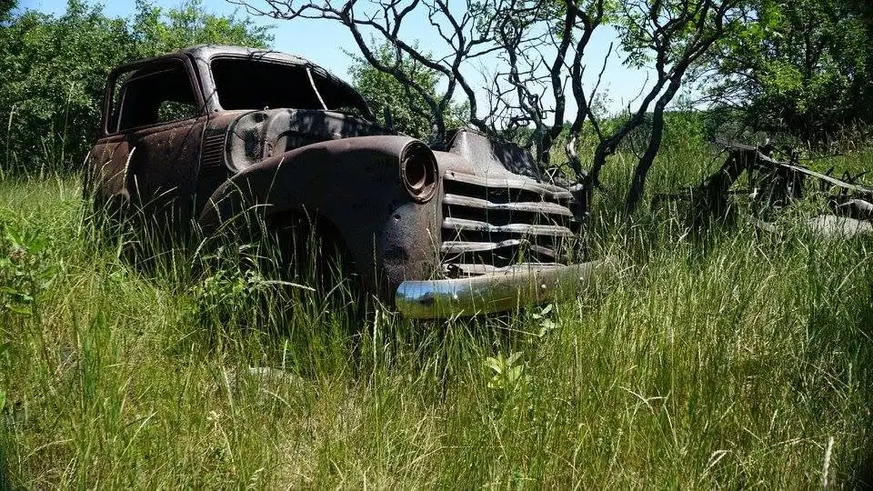 A rusted old automobile sits overgrown in tall grass beneath trees.