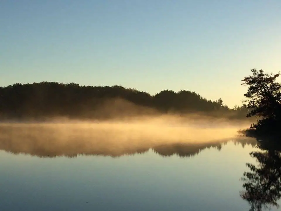 Golden mist floats over calm reflective water bordered by a dark wooded shoreline.
