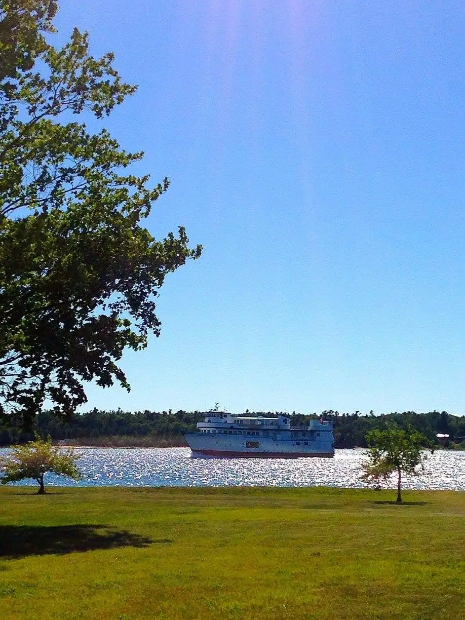 A white passenger ferry crosses sunlit water beyond a grassy lawn and trees.