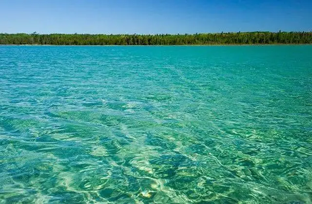 Clear turquoise water ripples toward a low, forested shoreline beneath a cloudless blue sky.