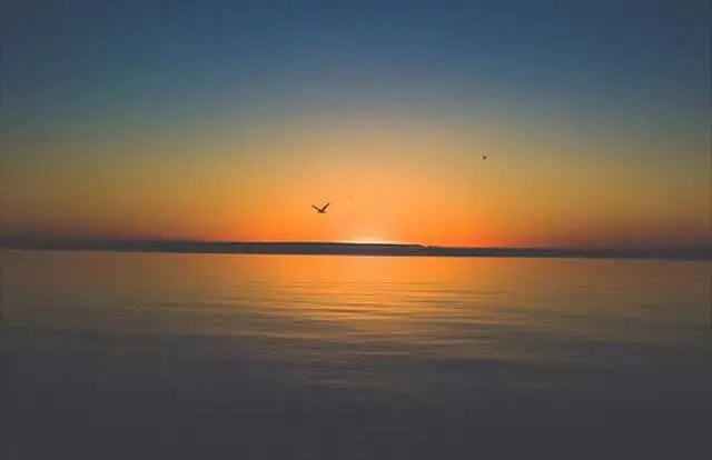 Sunrise over calm water with a distant shoreline and two birds in flight.