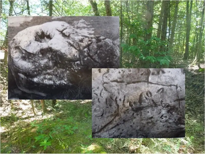 A sunlit forest scene with two inset black-and-white photographs of weathered rocks bearing irregular markings.