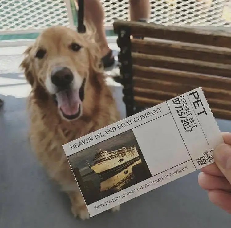 Golden-colored dog behind a pet ticket on a boat deck.