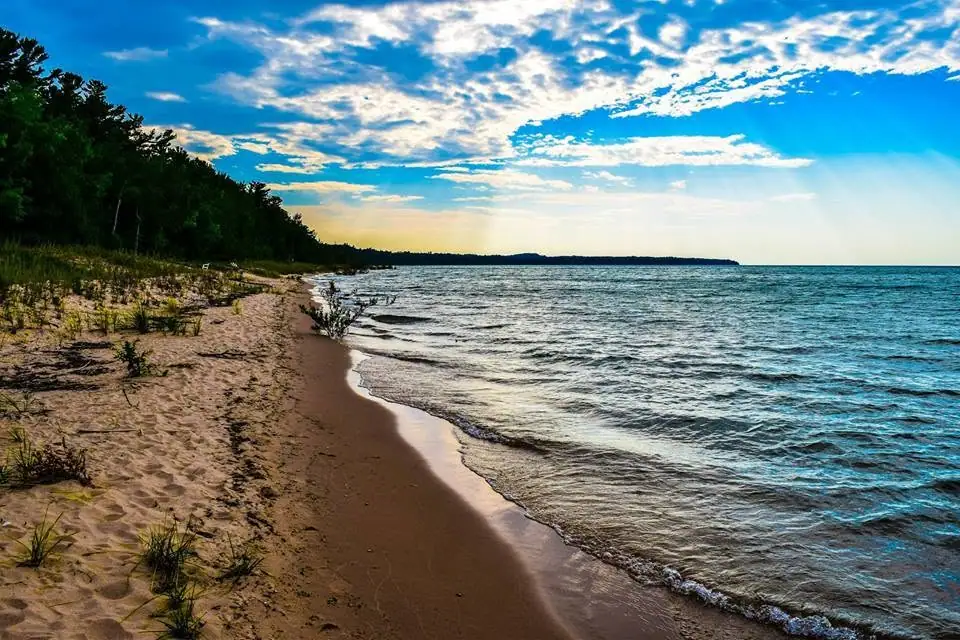 Sandy shoreline with low waves, forest, and dune vegetation beneath a cloud-filled sky.