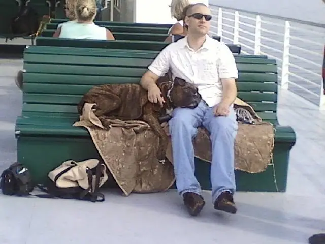 Man with a dog seated on a green bench beside bags and a white railing.