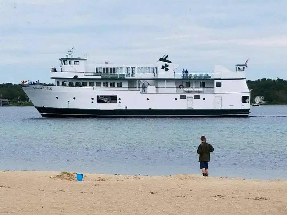 A white ferry passes a sandy shoreline while a person watches from the beach.