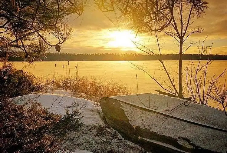 Snow-dusted boats rest beside calm water as the low sun shines through trees.