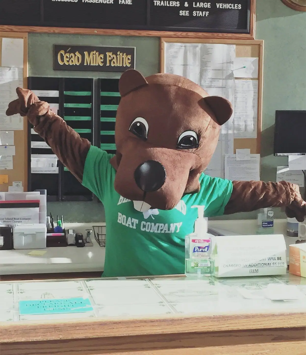 A brown bear mascot in a green shirt raises its arms behind a ticket counter.
