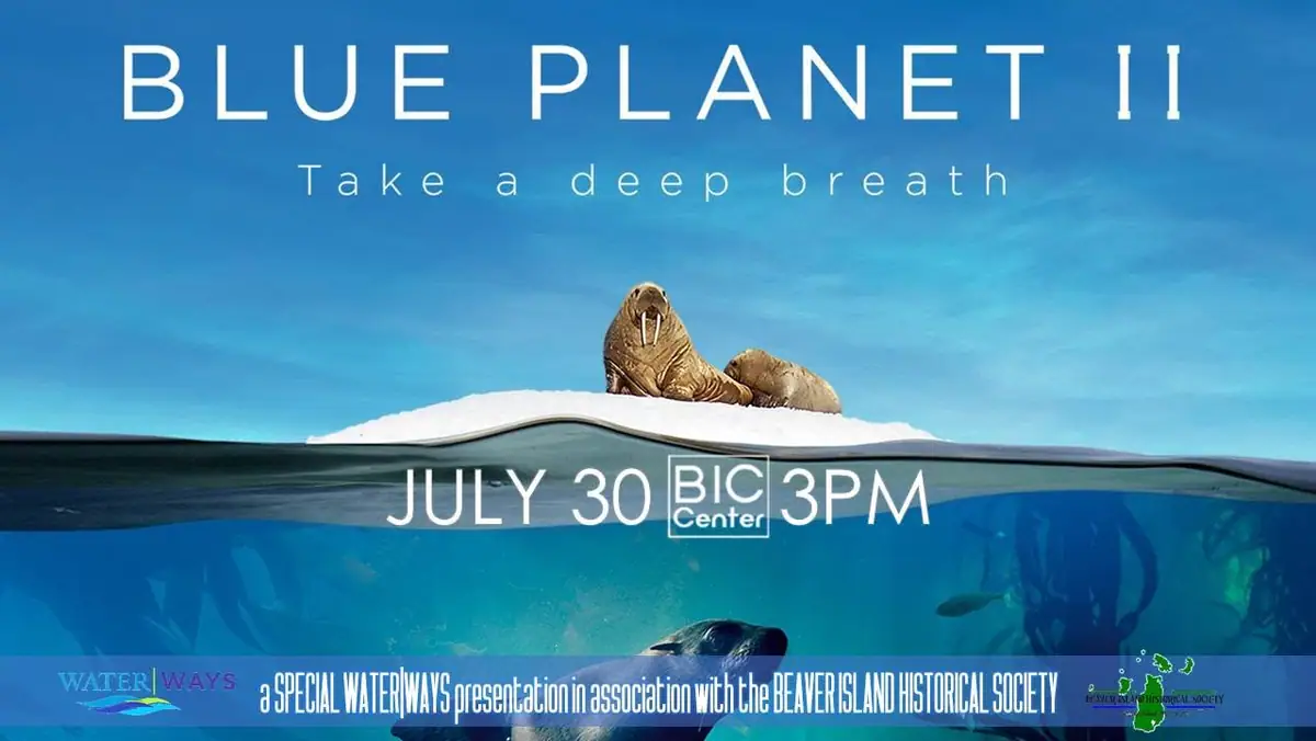 Promotional poster for Blue Planet II showing walruses above and marine life below a waterline.