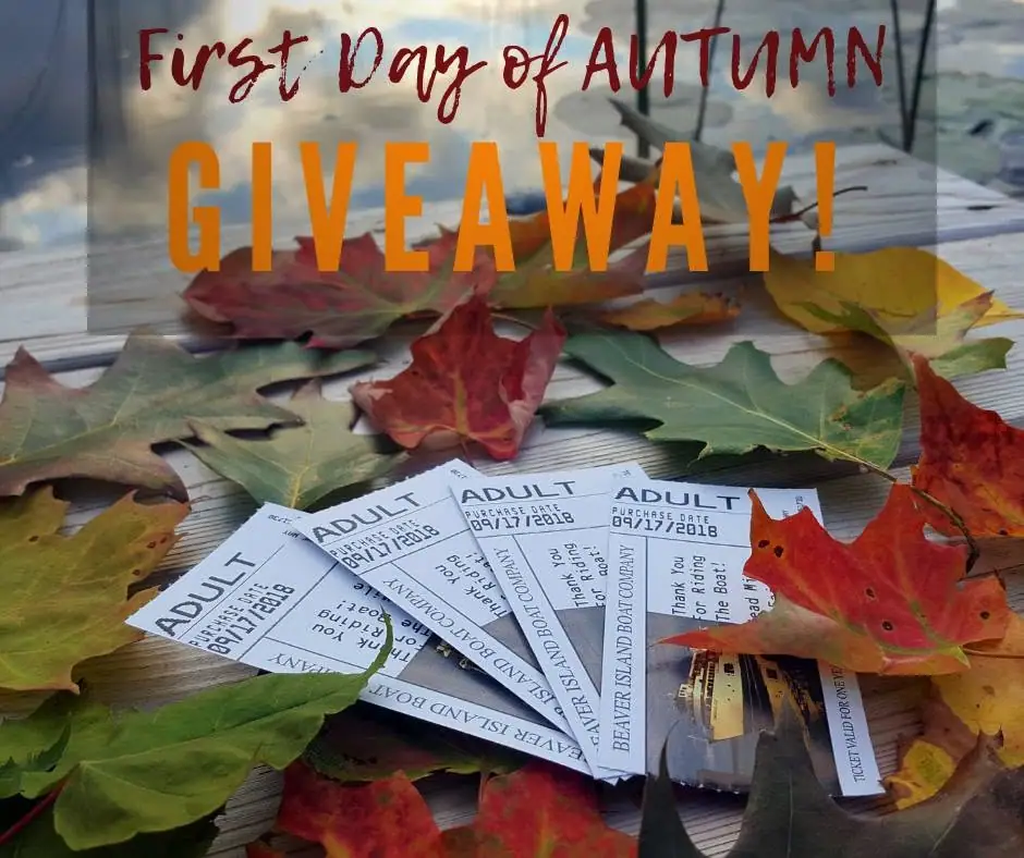 Promotional image showing adult boat tickets scattered among colorful autumn leaves on a wooden surface.