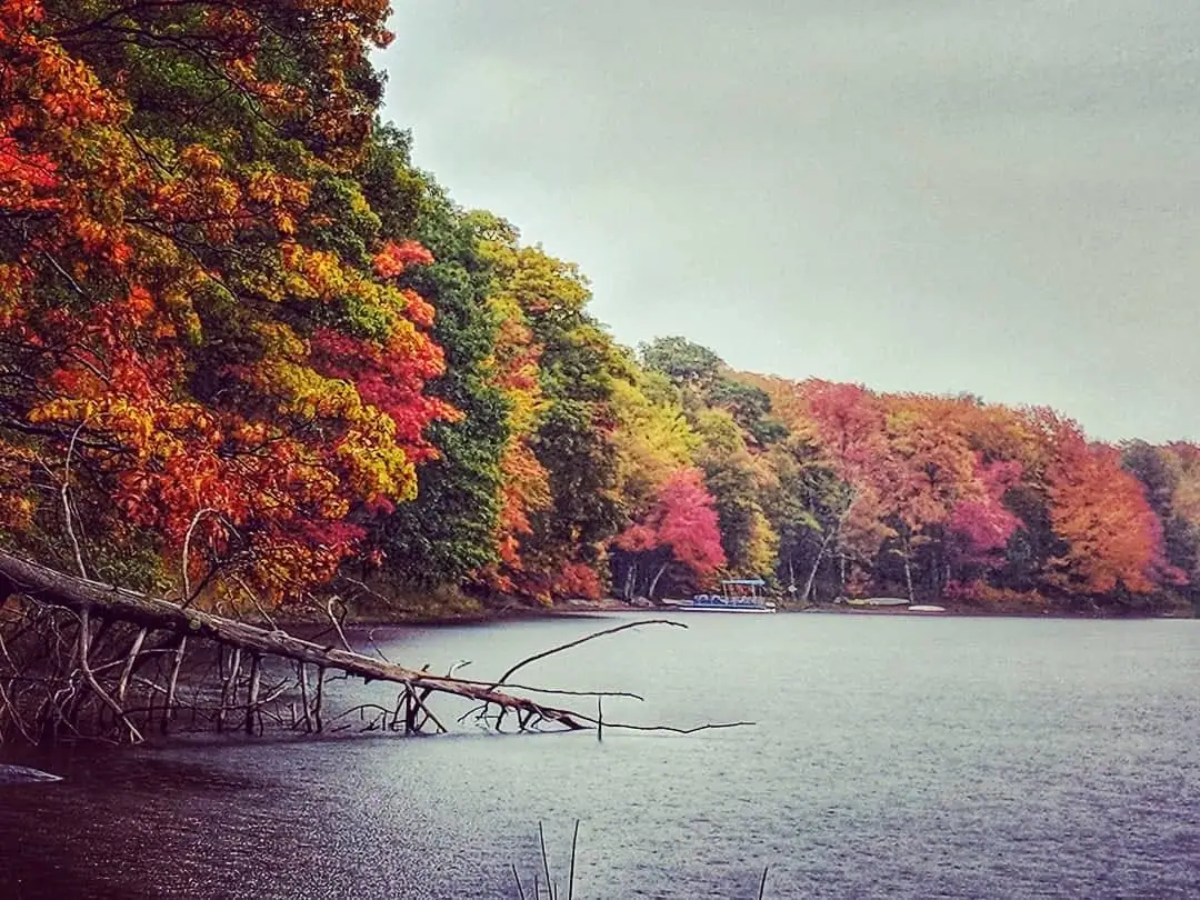 A calm body of water bordered by dense forest in vivid red, orange, yellow, and green autumn foliage.