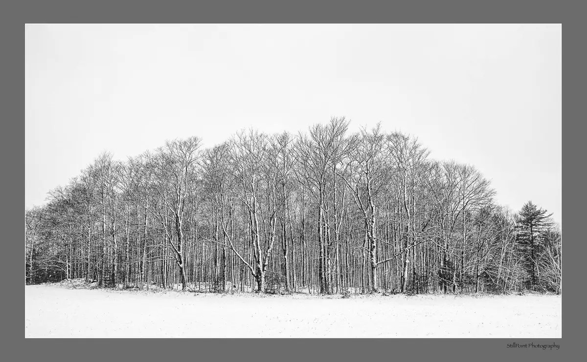 Black-and-white photograph of a snow-covered field in front of a dense leafless forest.