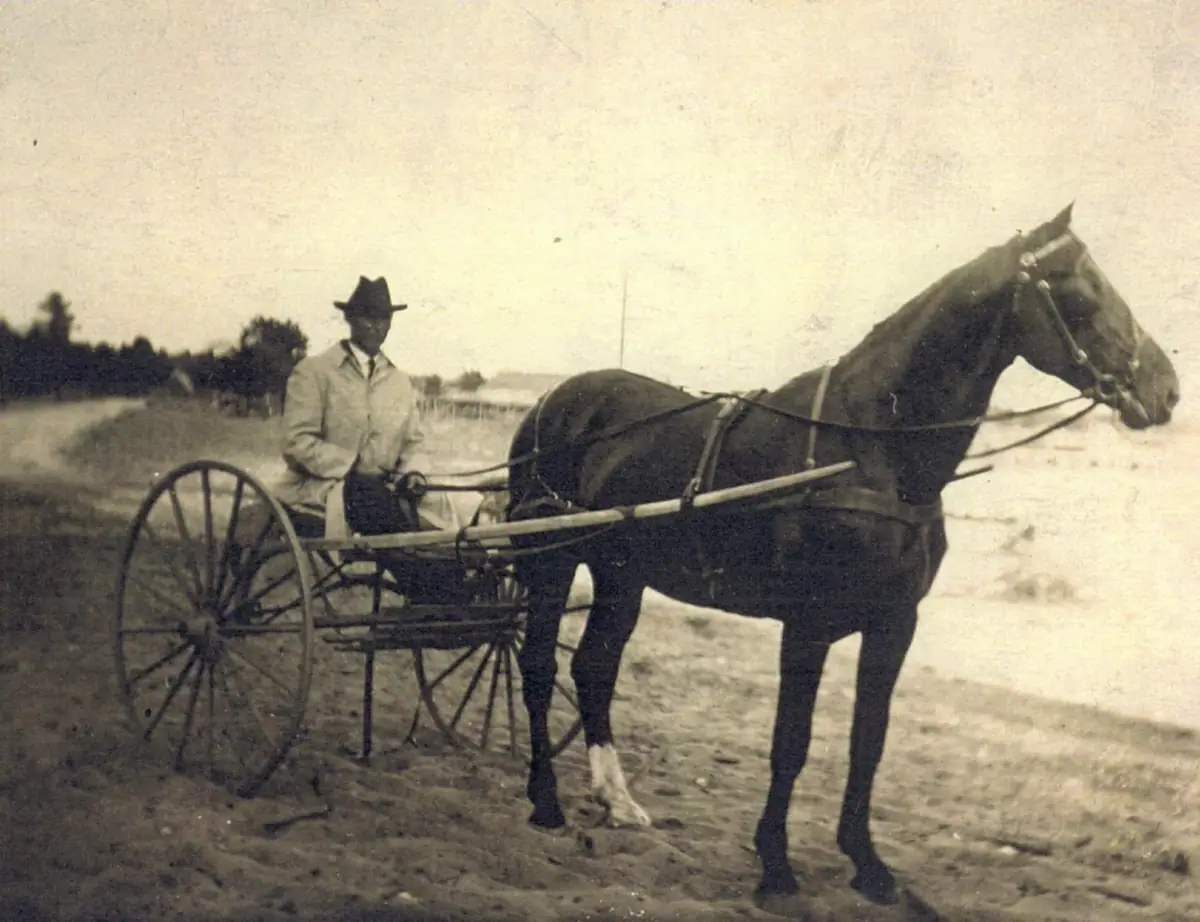 A man in a hat sits in a horse-drawn carriage beside a large harnessed horse on a rural dirt road.