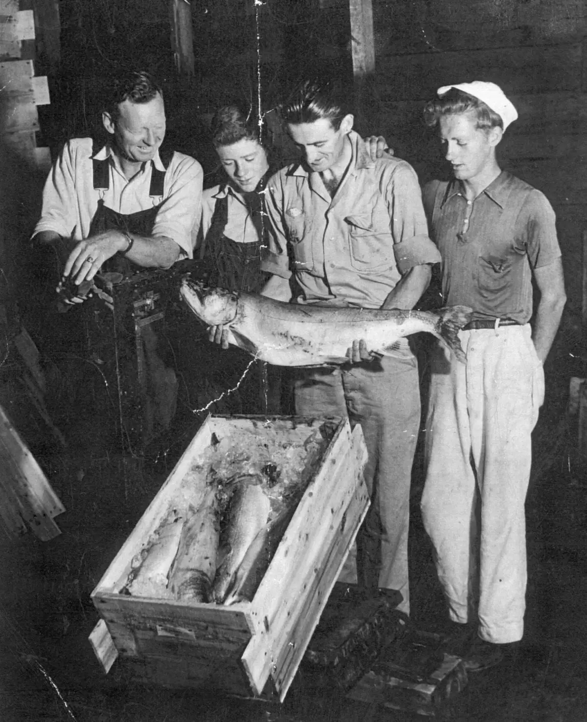 Four men hold a large fish above a wooden crate containing more fish and ice.